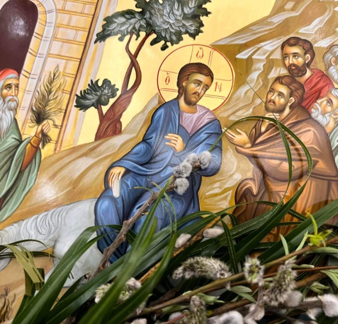Вербна неділя: традиції та символіка оновлення життя в християнстві