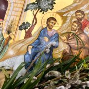 Вербна неділя: традиції та символіка оновлення життя в християнстві